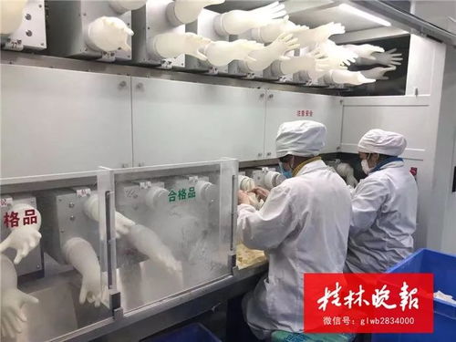 桂林医疗企业紧急复工，运动场馆服务全力支持武汉抗疫